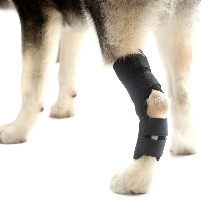 

Durable Custom Dog leg support Adjustable dog leg brace Neoprene hock ankle protector, Black