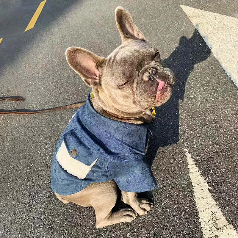 

Luxury designer popupar logo denim fleece winter cute fat dog pet clothes jacket dog parkas, Shown