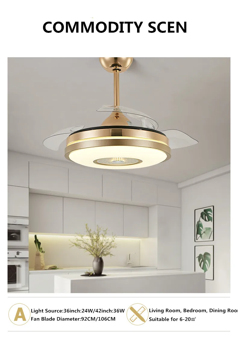 Fan Light (2).jpg