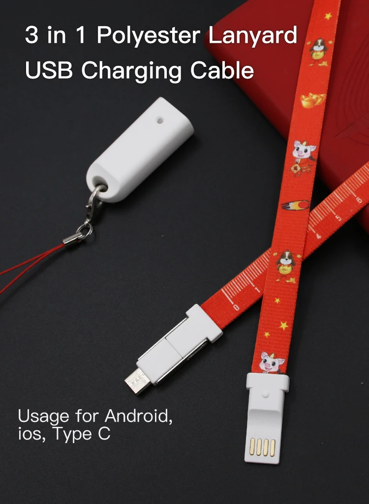 2022 Cell Phone Accessory Neck Lanyard Charger Type C Keychain 3in1 Usb