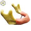 Drilling practice implant jaw teeth model dental base former with restoration