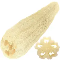 

Natural Loofah Loofah Sponge Kitchen