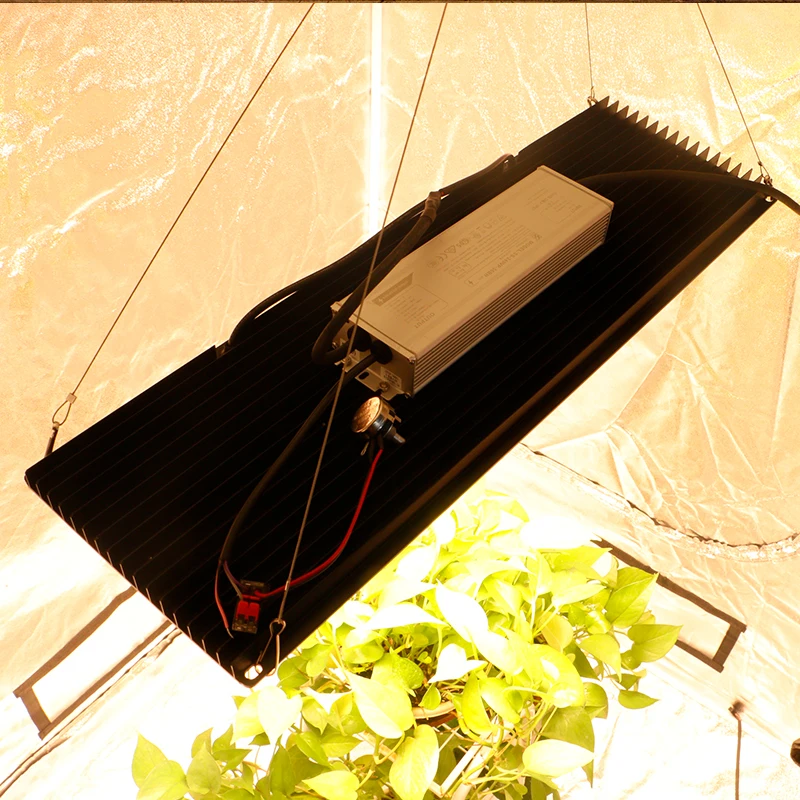 Shenzhen Led Lights  Grow Equipment board,Hydroponique Supplies Indoor Aquaponics System cob grow light dimmable