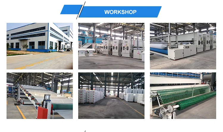 Polypropylene geogrid