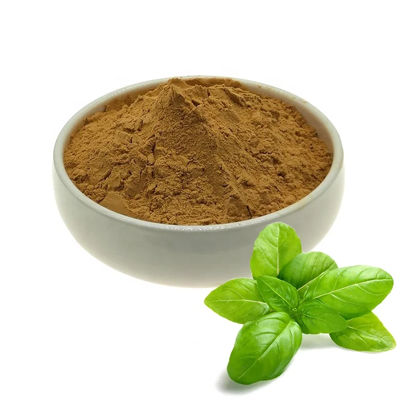 

Natural Ocimum Sanctum Extract 10:1 Basil Leaf Extract Ocimun basilicum L.Holy Basil Extract