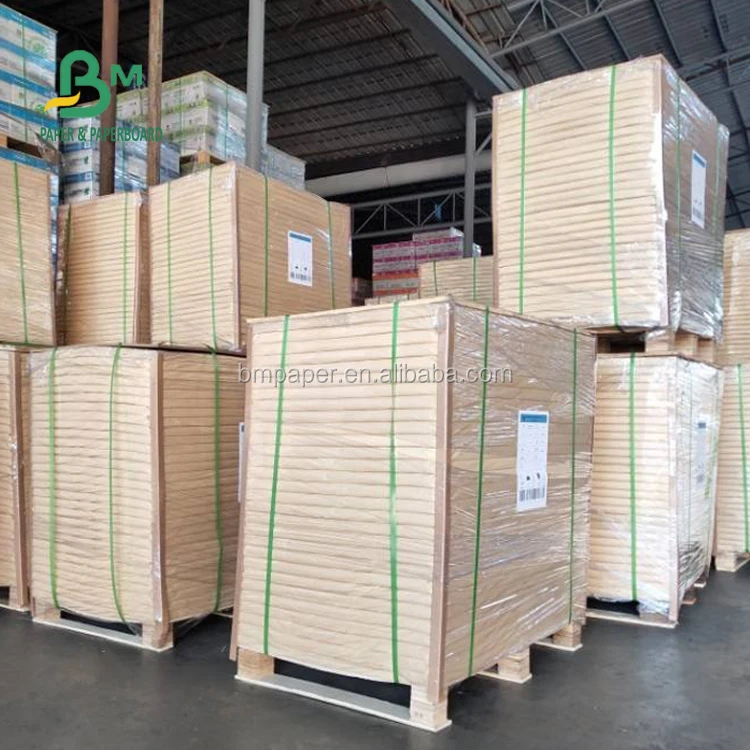 PE coated paper 1.jpg