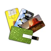 

Free Sample High Speed Business Card 2.0 Custom Logo 4gb usb flash drive Credit Card USB Memory Drives Promotional Gift