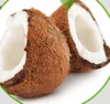 Factory Offer Favoable Price of Coconut Powder