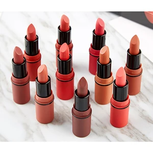Hot Sale Cosmetics Moisturizing Matte Lipstick Lasting Lipstick Set