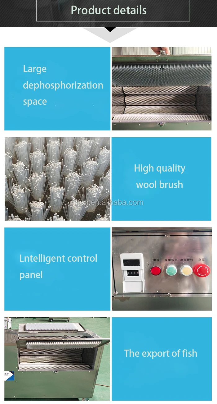 Most Popular Fish Processing Tools And Equipment Buy Professional