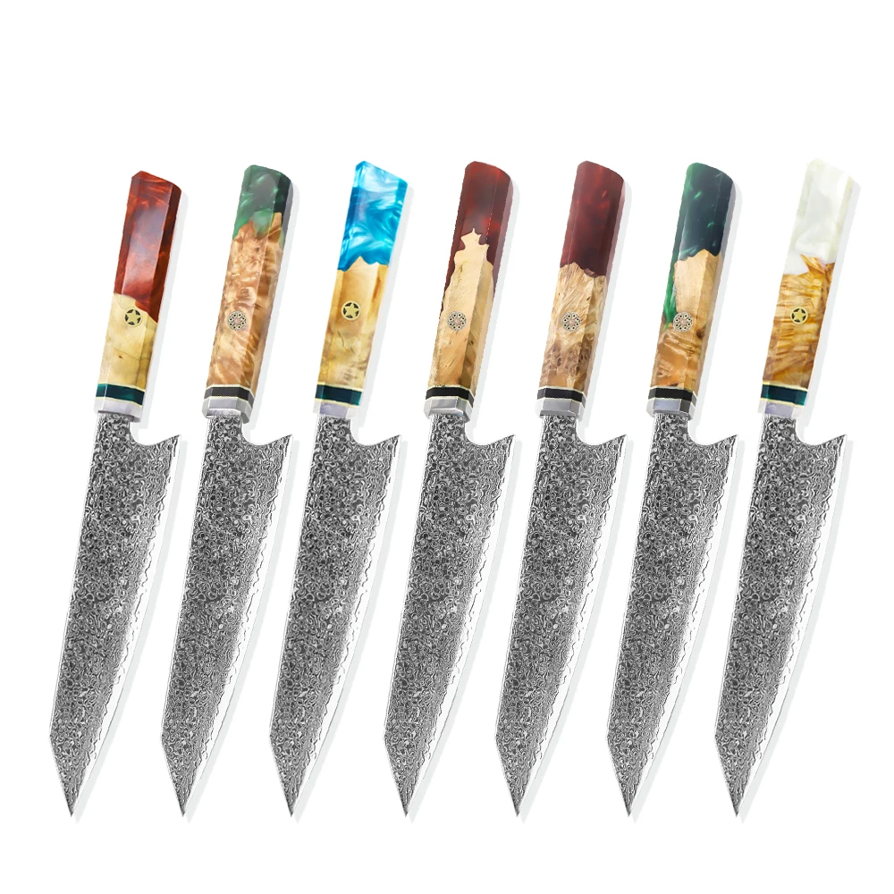 

Chef Knife Japanese VG 10 Damascus Steel Kitchen Knife Vegetable Meat Knives with Beautiful Epoxy Resin Solidified Wood Handle