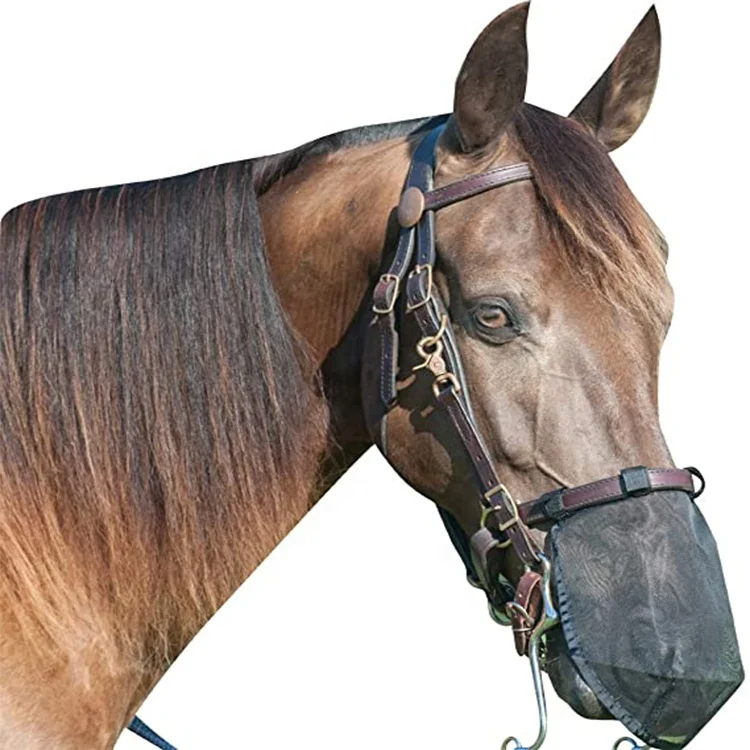 

Equestrian equipment breathable and comfortable anti - mosquito anti - fly with horse fly mask nose net, Black