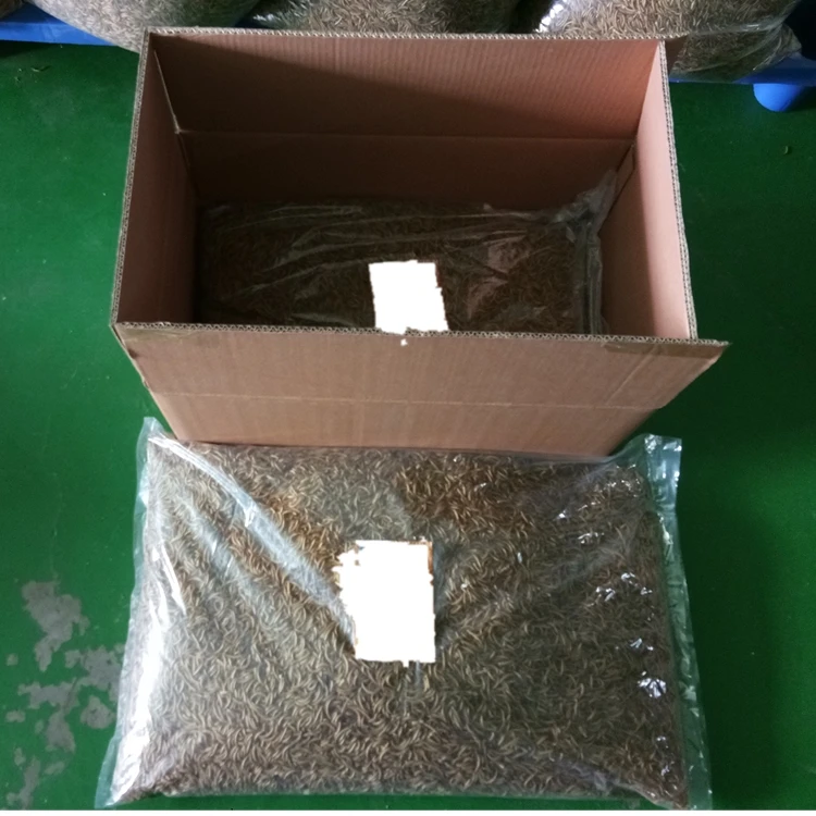 feed additive mealworm.jpg