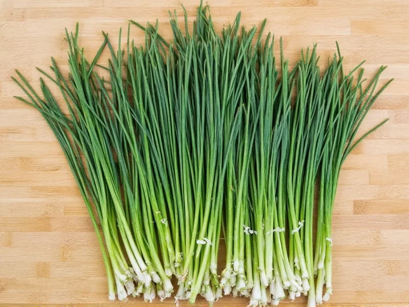 Séchage des ciboulettes à l'air libre