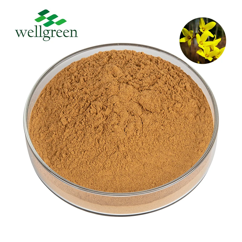 

Kosher Forsythiae Forsythin Weeping Fructus Powder Forsythia Extract