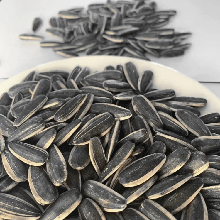 Sunflower Seed 363 Hybrid Sunflower Seed And Sunflower Seed Price India