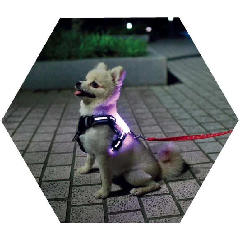 cc simon lace wedding dog collar  Factory Supplier Multicolor Glowing Night Led Light Up Dog Harness