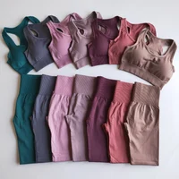 

2020 New Custom Plus Size Sexy Seamless Private Label Yoga Wear Pants Sets Gym Fitness Women