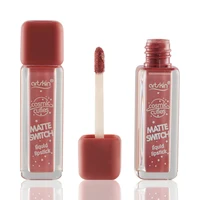 

Hot Custom Matte Waterproof Cosmetics Lipgloss Everlasting Lip Tint Private Label