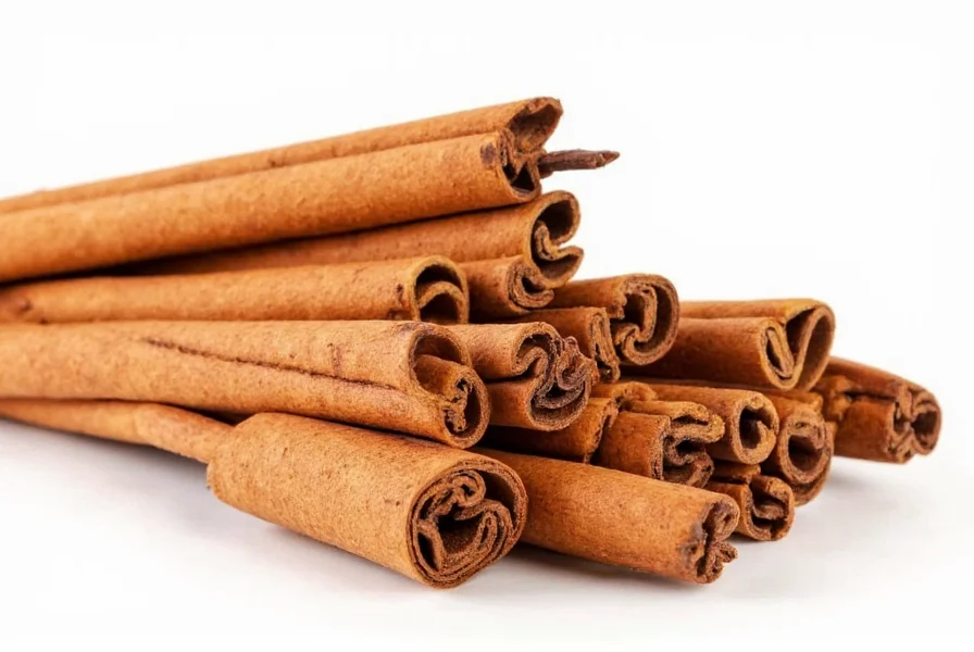 Close-up photograph of Ceylon and Cassia cinnamon sticks side by side showing their structural differences