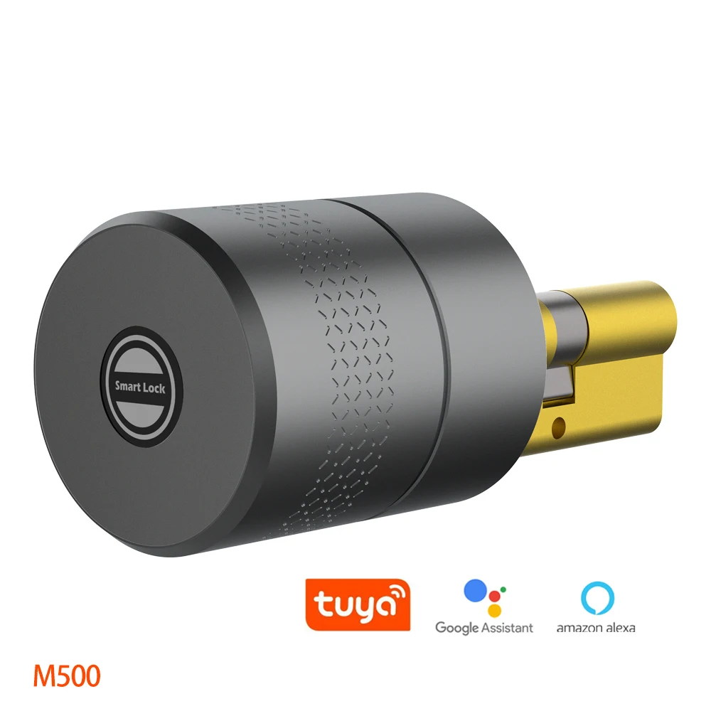 

M500 Keyless Tuya Smartlock work with amazon alexa door lock