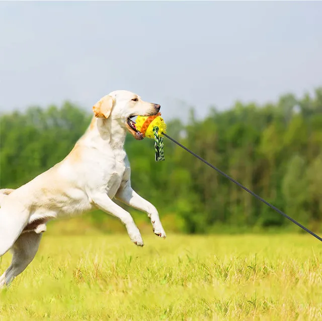 

Chinese Factory Custom Pet Toy Tie Out Pulling Rope Dog Chew Toys For Aggressive