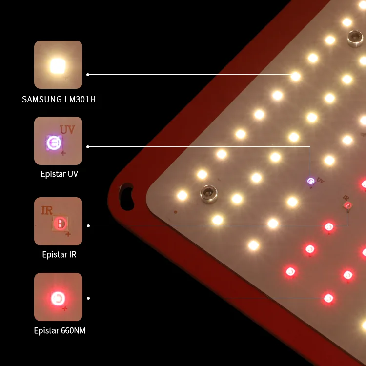 
KingBrite Samsung led Grow Light 240W, replace Spider SF2000, LM301H full spectrum with 660nm UV IR 