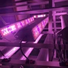 /product-detail/plant-supplement-lamp-led-linear-led-high-bay-light-grow-light-for-veg-and-flower-micro-greens-clones-succulents-seedling-62301484904.html