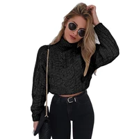 

New Fashion High Neck Long Sleeve Women Crop Sweater