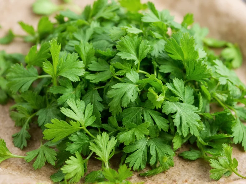 Best Substitutes for Coriander: Practical Cooking Alternatives