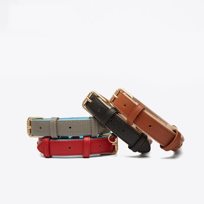 

High Cost Performance 2021 New Products Vegan Leather Premium Quality Collar