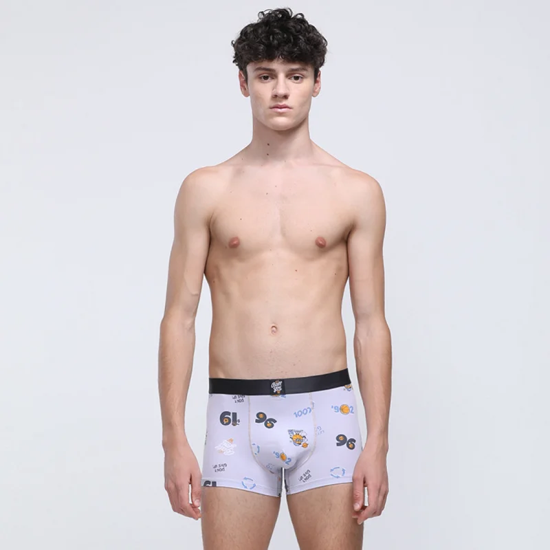 

Men Underwear Plus Size Organic Cotton Boy Underwear Handsome Mens Boxer Briefs