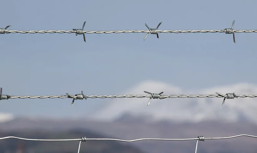 германская колючая проволока. колючая проволока. колючая проволока старая. как называется колючая проволока.