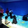 New indoor virtual beach interactive software floor projector game price