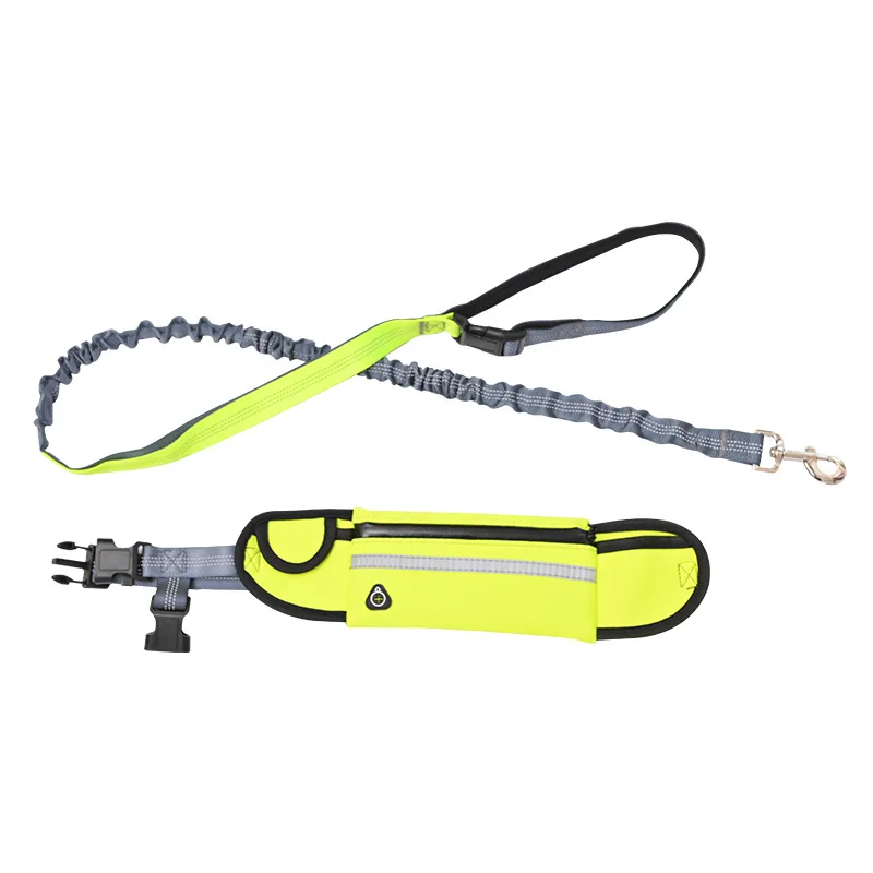 

Factory Direct High Quality Eco Friendly Dog Pet Leash, Customized color