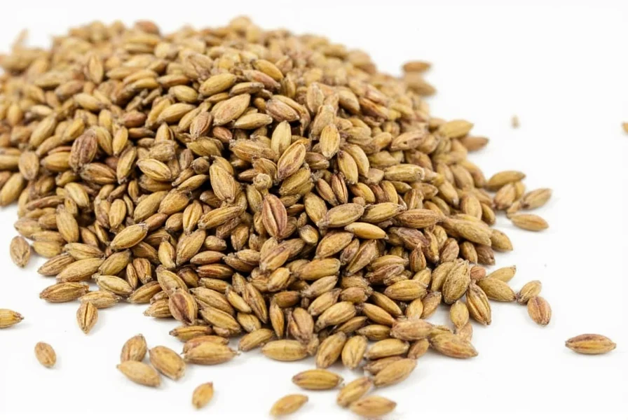 Spice Rack with Caraway Seeds