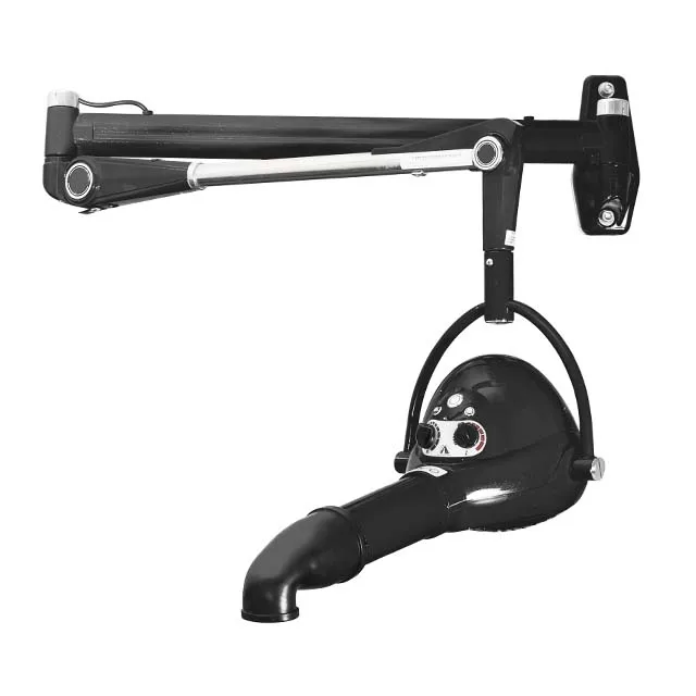 
TD 905 Ionic Wall Mounted Dog Dryer Hot Dog Hair Dryer Pet Dryer 