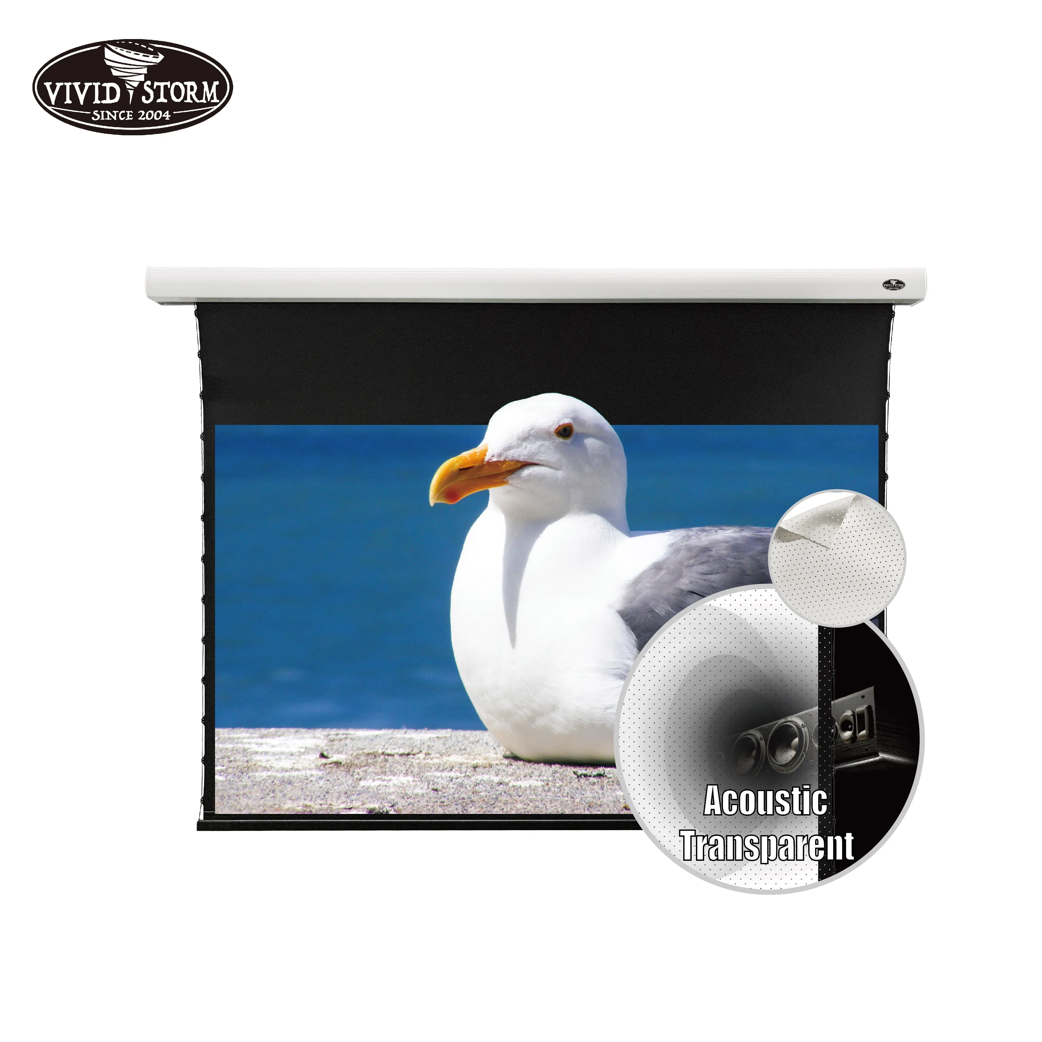 

VIVIDSTORM 84 - 120 inch Slimline motorized tension Pull Down Screen projector perforated Transparent Acoustically white cinema