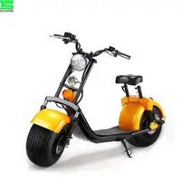 

Factory Supply EEC/COC/CE 1000W 1500W 2000W Electric Bicycle e Scooter Citycoco 1500w