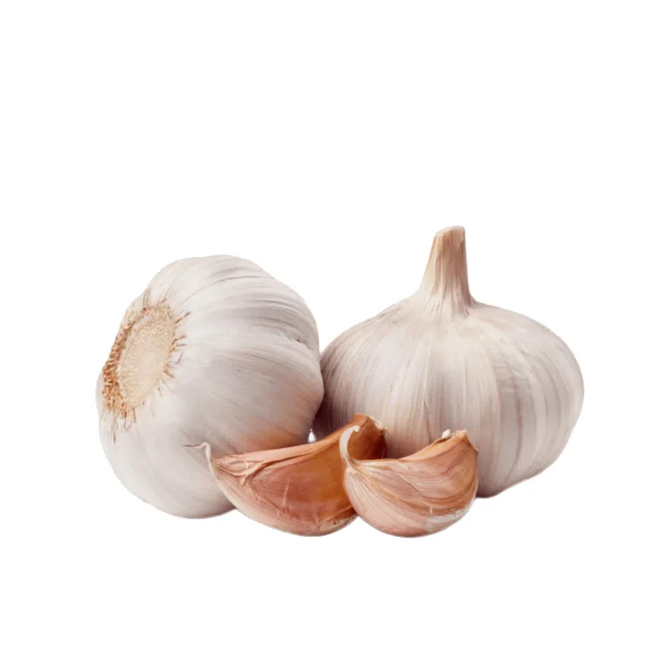 
Hot Sale Fresh White / Red Garlic Low Price Garlic For Sale 