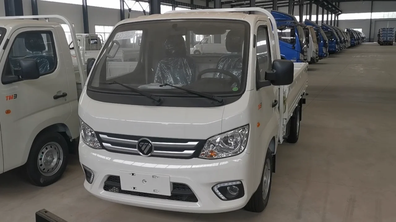 热销高品质低价福田迷你轻型卡车