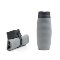 

Amazon hot sale collapsible foldable silicone sports water bottle with custom logo