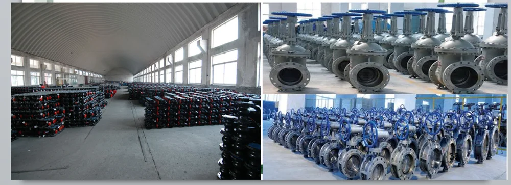 paste-pic-dp_uuid_uvghn