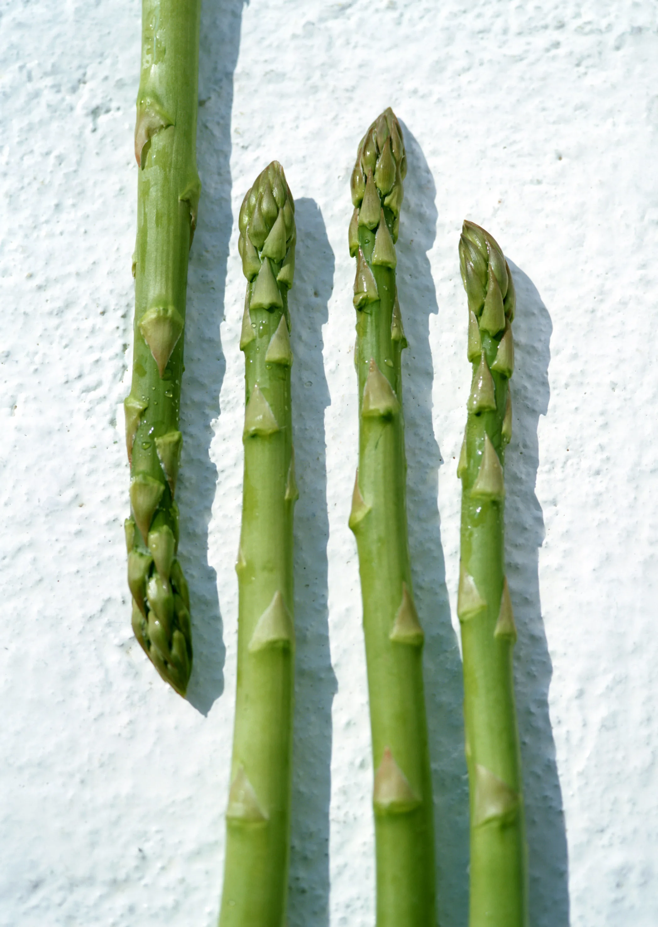 370ml绿色去皮芦笋矛在罐子里