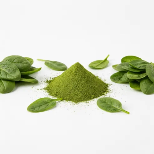 Spinach Powder - Bulk Wholesale from China Factory Hfe85b90b25ed4415a5e1ff975248b4bb5