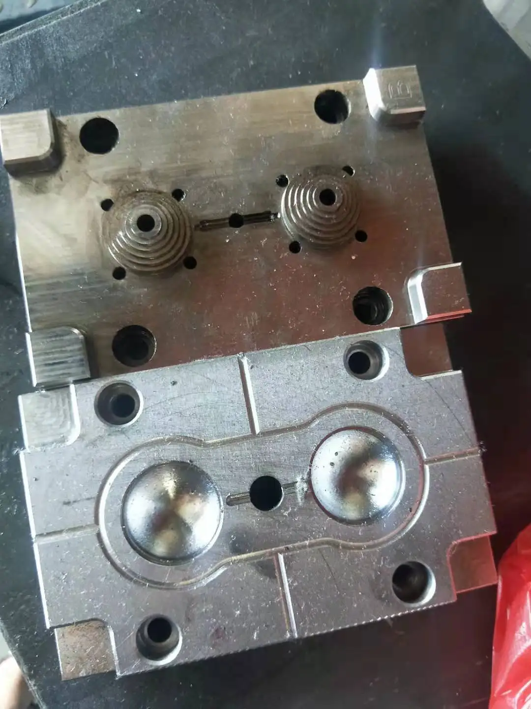 The len mold photo.jpg