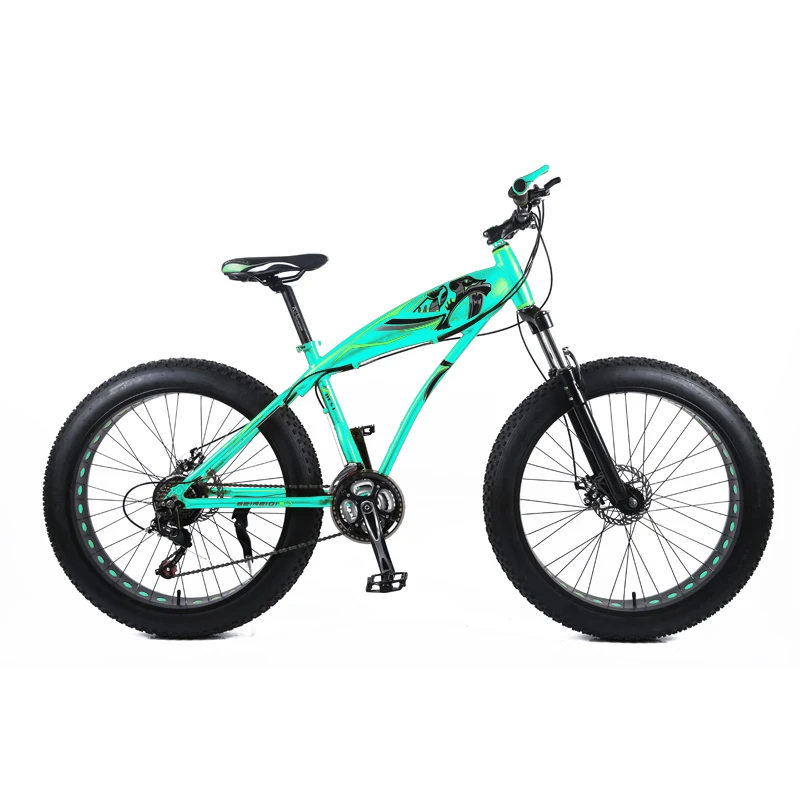 fat bike 24 inch