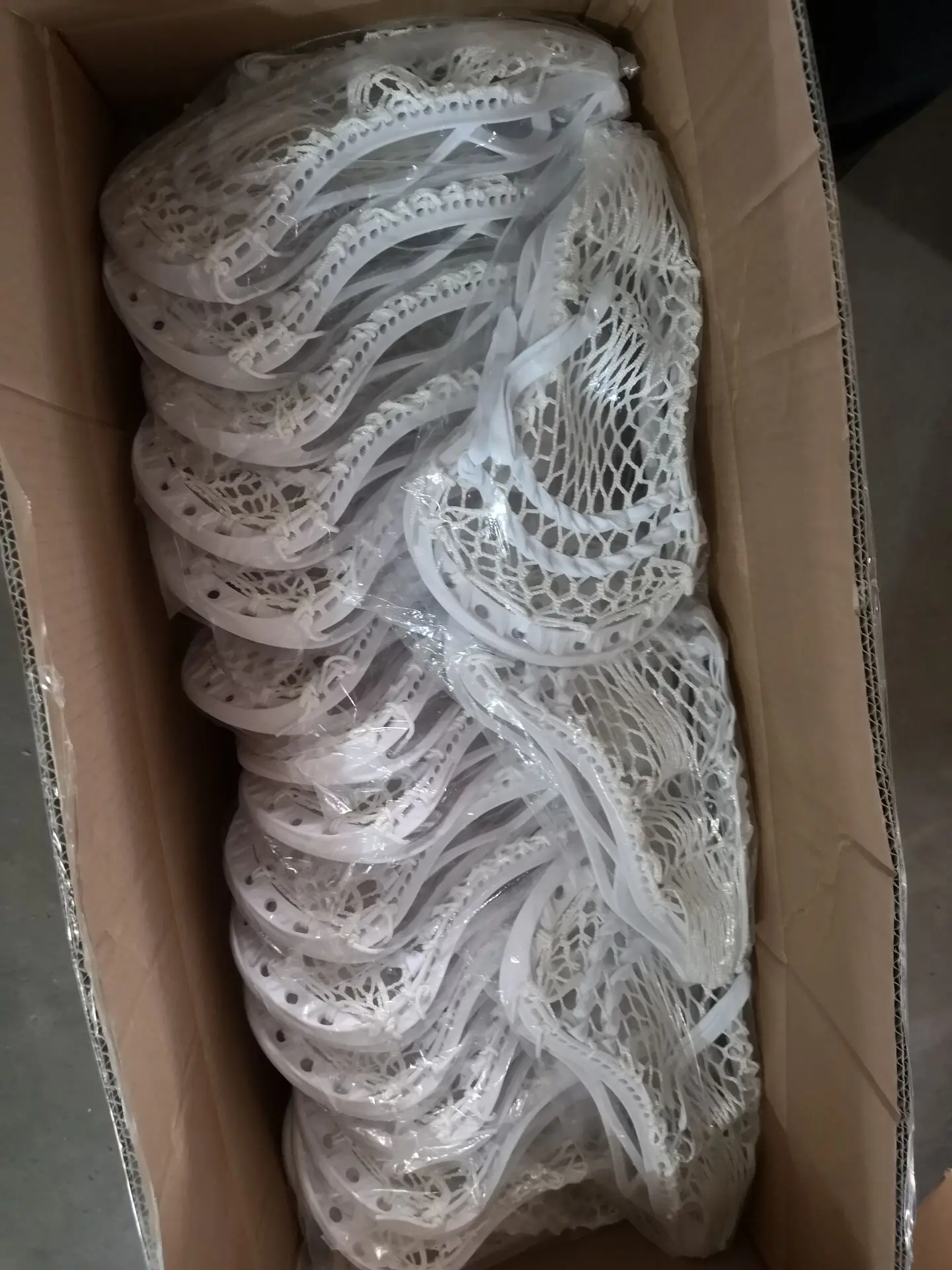 With head.jpg