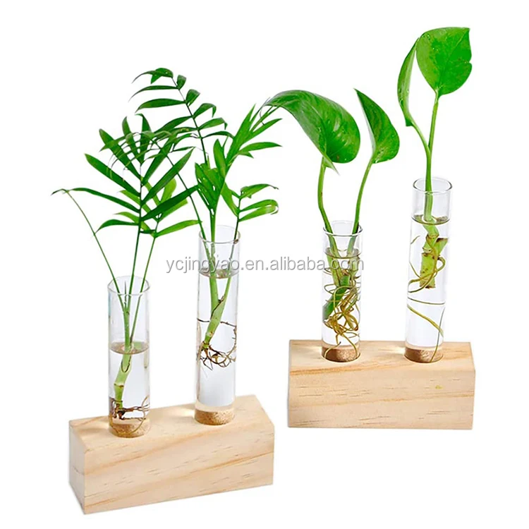 

Clear Crystal Glass Double Test Tube Vase in Wooden Stand Flower Pots for Hydroponic Plants Office Home Decoration