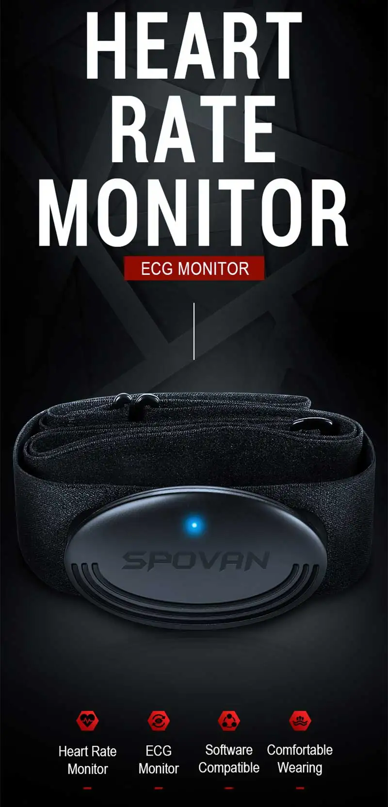 ECG-Monitor
